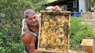 First Look at My New Beehives!