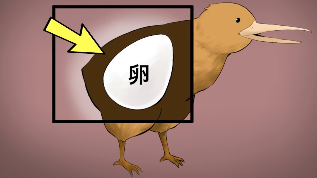 衝撃 過酷すぎる出産をする動物4選 Youtube 衝撃 過酷すぎる出産をする動物4選 Youtube
