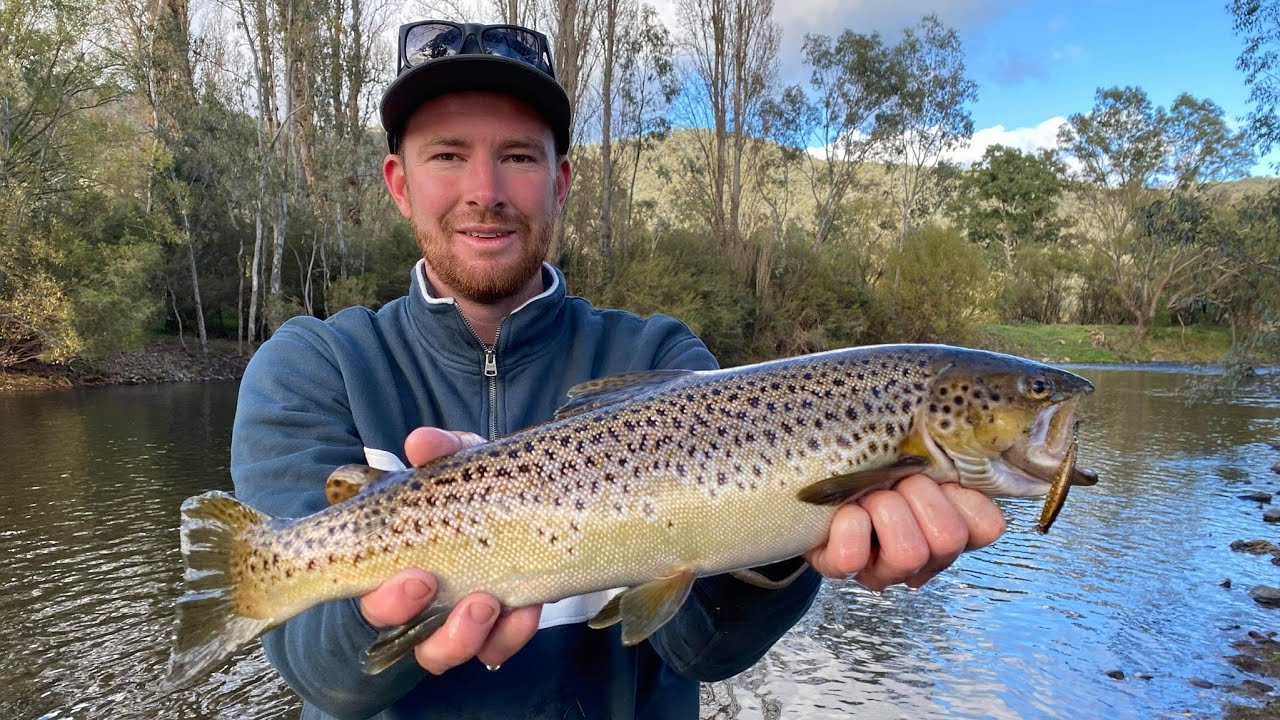 Trout fishing Australia  River Fishing a Victorian Stream 