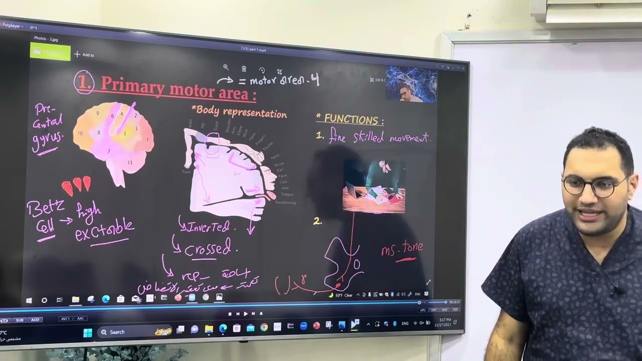 Motor nervous system Revision part-4 القصر العيني