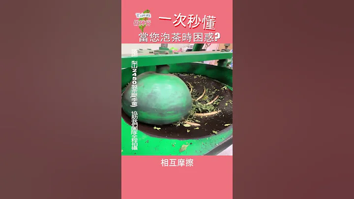 [台湾做阵行来七逃] 制茶真相 高海拔茶区 最佳茶叶品相  2450 制茶厂 梨山高山茶台湾茶 采茶菁 日光萎凋 室内萎凋 静置萎凋 浪菁 杀菁揉捻  团揉 团块 干燥 真空包装 - 天天要闻
