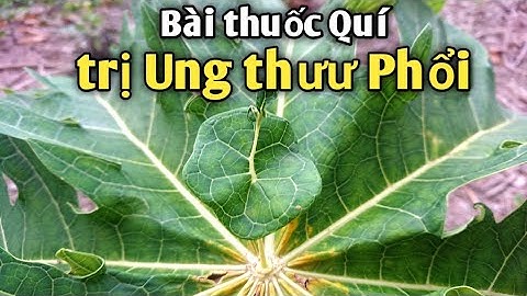 Bài thuốc ht trị Ung thưư Phổi. PHAN HẢI Channel