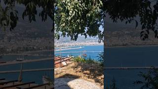 Under the shade view #travel #shorts #vlog