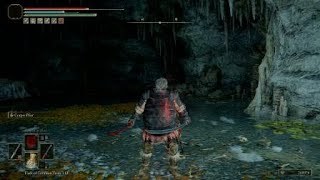 ELDEN RING™ Aid Boss Bear Falls through map lol