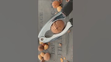 Hazelnut Cracking ASMR 🥜💥 So Satisfying & Crunchy! #asmr #nuts #shorts #satisfying  #اكسبلور