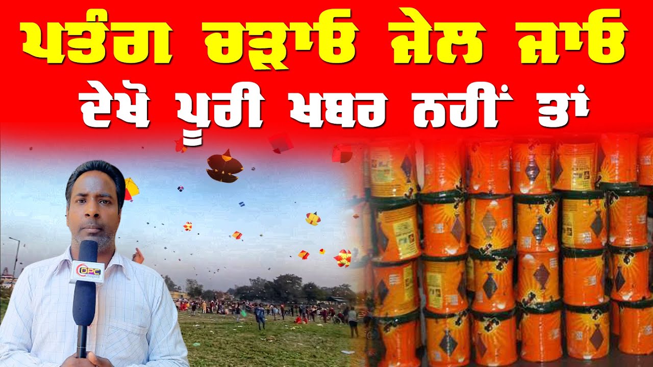 Patang Chadao Jail Jao Be Alart Now Flying Kites Watch Full News