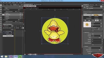 Crear Estilos y Animación para Botones WPF C#