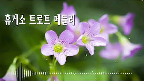 휴게소 트로트 메들리 🦋 광고없는 BEST 트로트 40곡 연속듣기 🦋 신나는 노래모음 댄스곡 화려한 화면