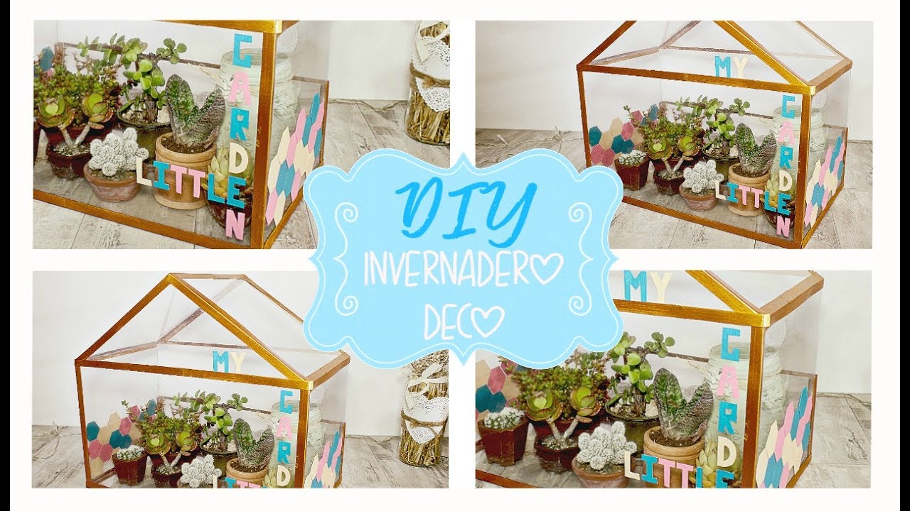 16 ideas de Mini invernaderos  invernaderos, decoración de unas, mini  invernadero