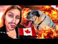 EN PLEINE CRISE DE SMIC ?!! ( Vlog du Cacanada feat Syrine)