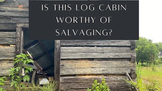 Should I Salvage This Log Cabin? | Find the Perfect Logs For Your Log Home  Handmade House TV #183