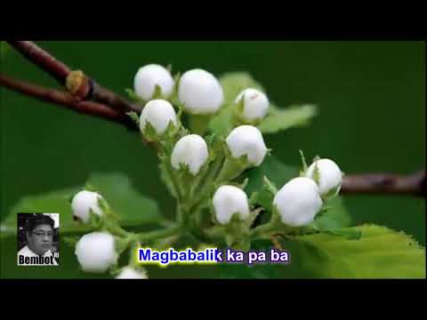 Pangako   Kindred Garden (Lyrics)