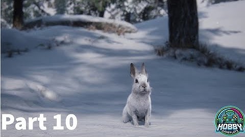 🌟 The Last of Us Remastered Gameplay Walkthrough Part 10 | No Commentary 🌟 Hobby Gameplays