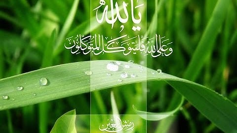الشيخ مشاري بن راشد العفاسي  سورة الانفال