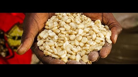 Webinar: Markets in Fragile Contexts: Lessons from the Seed Market System in Eastern DRC