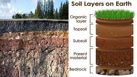 Class 7 Chapter 9 Soil