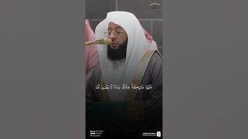مقتطف من تلاوة فضيلة الشيخ #بدر_التركي من صلاة الفجر السبت ٢٢ صفر ١٤٤٧