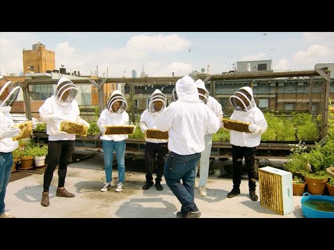 Bartenders Meet Beekeepers: New York City
