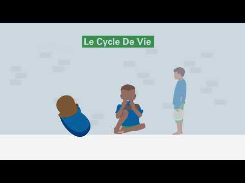 Journée mondiale de l'élimination de la pauvreté : un appel à l'action !