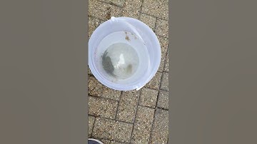 #crab crabbing in england for the first time