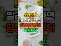 또래보다 빨리 늙는다면 당장 식탁부터 바꾸세요. 저속노화 3가지 비밀