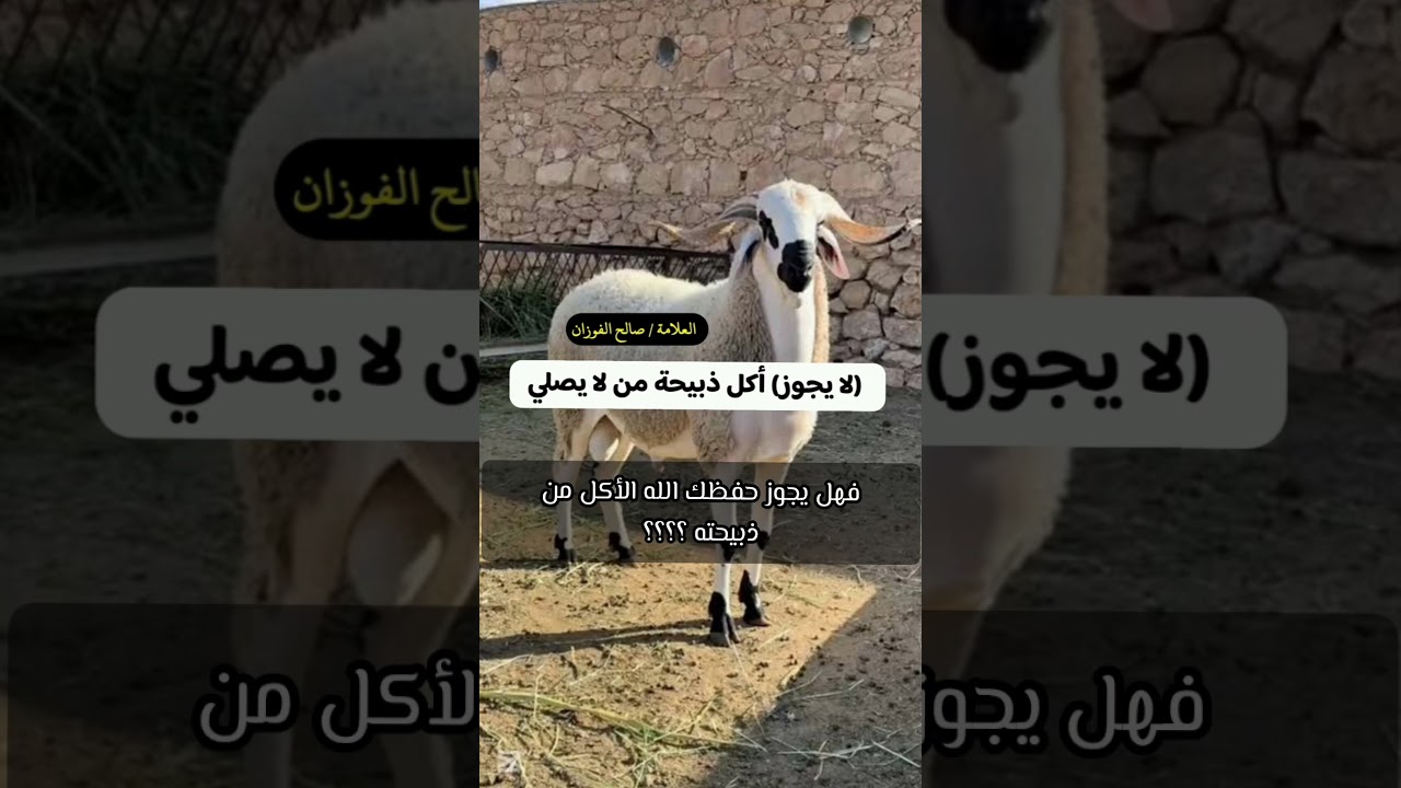 ما حكم أكل ذبيحة من لا يصلي ؟ - صالح الفوزان