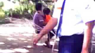 Cejs Jungle 2 At Jungle