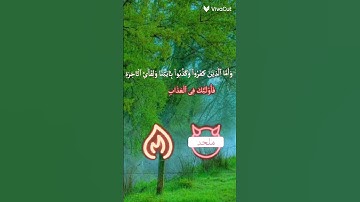 حالات واتساب قرآن كريم🌿💚//تلاوة عطرة تريح القلوب #القرآن_الكريم #لايك #اكسبلور #حالات_واتس