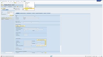 SAP Solution Manager Service Desk: reporting a functional problem int transaction BP