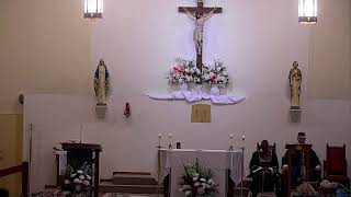 The 14th Sunday of Ordinary Time- Year A (11:30 am)