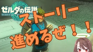 【ゼルダの伝説　ティアーズオブザキングダム】ストーリー進めたい待ってて姫様