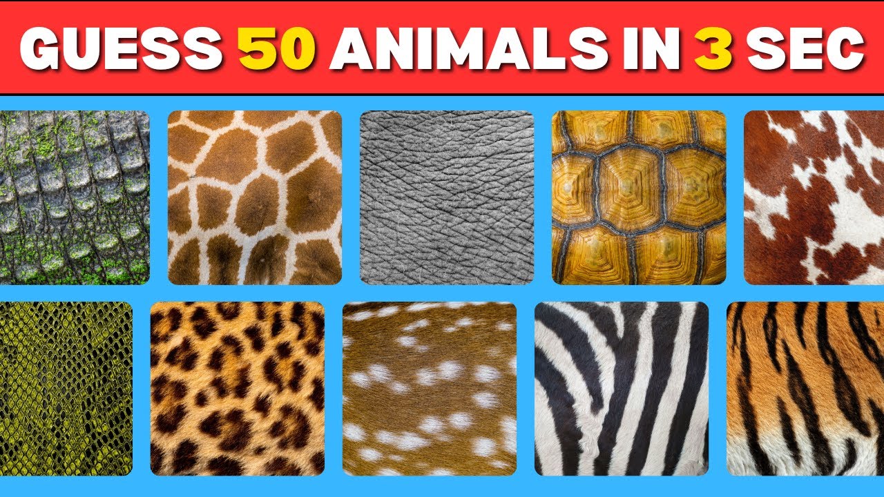 Only 2% of People Can Name All These Animals in 3 Seconds!