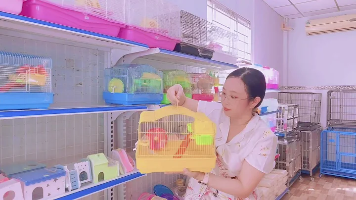 Combo chuột Hamster vàng chanh &vật dụng toàn màu vàng LoHa Pet Shop