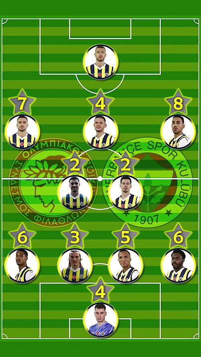 Olympiakos Fenerbahçe 3-2 / Fenerbahçe Oyuncu Puanları