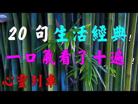 【心靈列車 】 20句生活經典，句句入骨！一口氣看了十遍 !1、人在的時候 ，以為來日方長什麼都有機會， 其實人生是減法， 見一面，少一面。