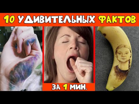 10 Обалденных Фактов За Одну Минуту | #shorts