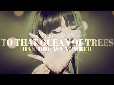 椎名林檎 走れゎナンバー Sheena Ringo To That Ocean Of Trees Lyrics Youtube