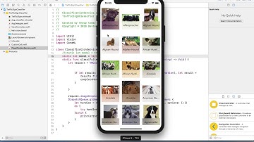 Train Machine Learning model with IBM Watson, Core ML, Swift : Dog Breed Classification: Demo