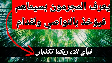 يُعرَف المُجرِمُونَ بِسِيماهُم فيؤخذ بالنواصي والأقدام #سورة الرحمان