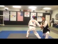 Moohan martial arts johnson ferrygrandmaster seo self defense