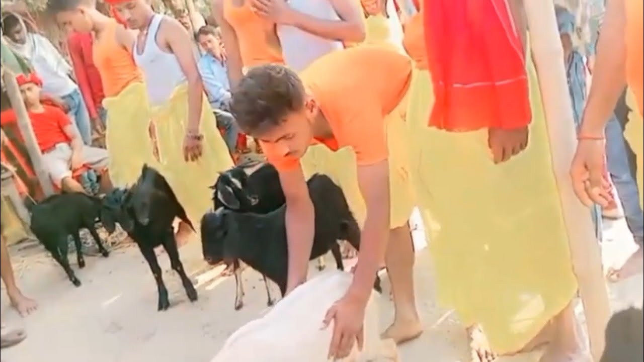 देखिए केवल महाराज की पूजा में क्या बली कैसे मुड़न और कैसे अर्घ दिया जाता है | keval maharaj ki puja