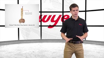 Flotect® Vane-Operated Flow Switch | Series V6