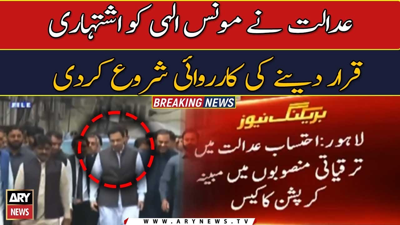 Moonis Elahi declared fugitive in corruption case