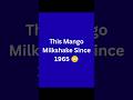 This Mango Milkshake Since 1965 😳