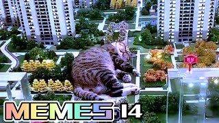 FUNNY MEMES COMPILATION V14