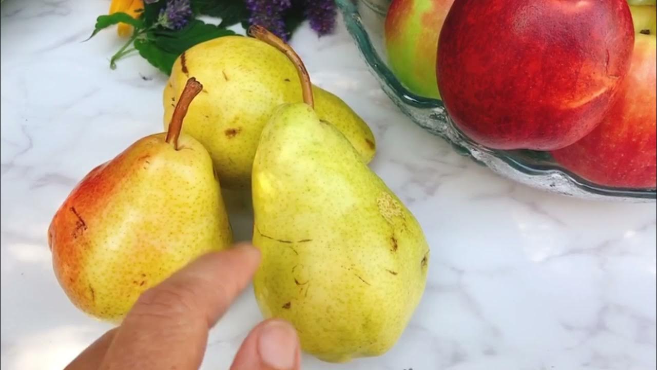 How to Tell if Pears are Ripe and How to Store YouTube