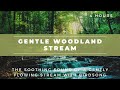 Gentle Woodland Stream | ASMR Soundscape for Sleep, Meditation &amp; Relaxing