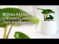 #WexAtHome | Plant-based photography | DIY Infinity Wall