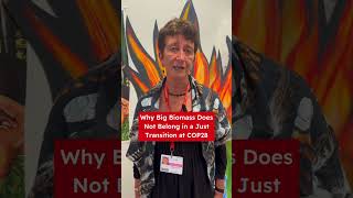 Why Big Biomass Has No Place in a #JustTransition. #cop28