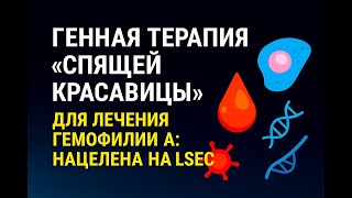 Гемофилия А: почему клетки печени не главные? Прорыв с Sleeping Beauty и LSEC